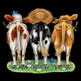 /album/galerie-de-photos-les-vaches/w75nzluz-1-png/